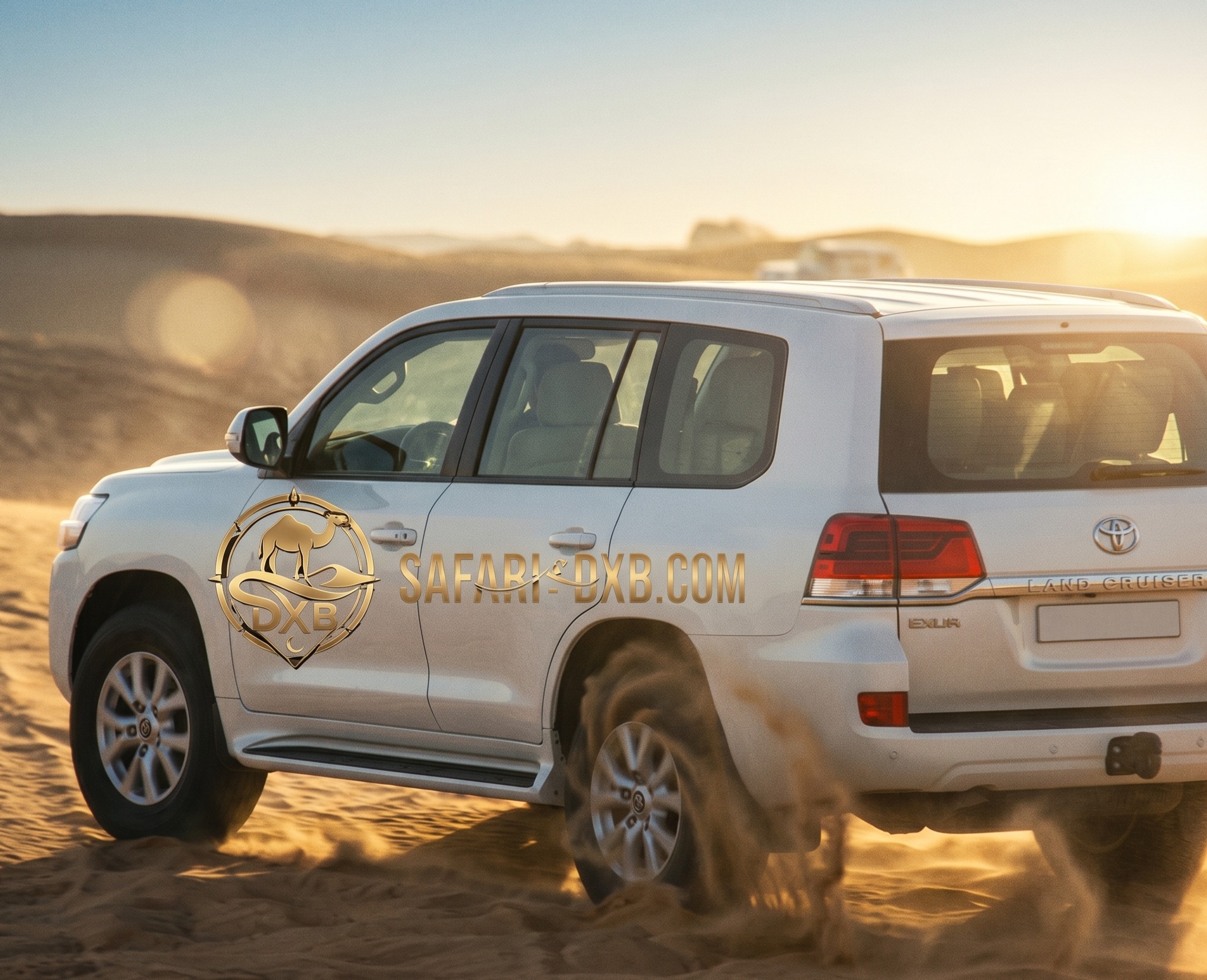 Desert Safari Experience